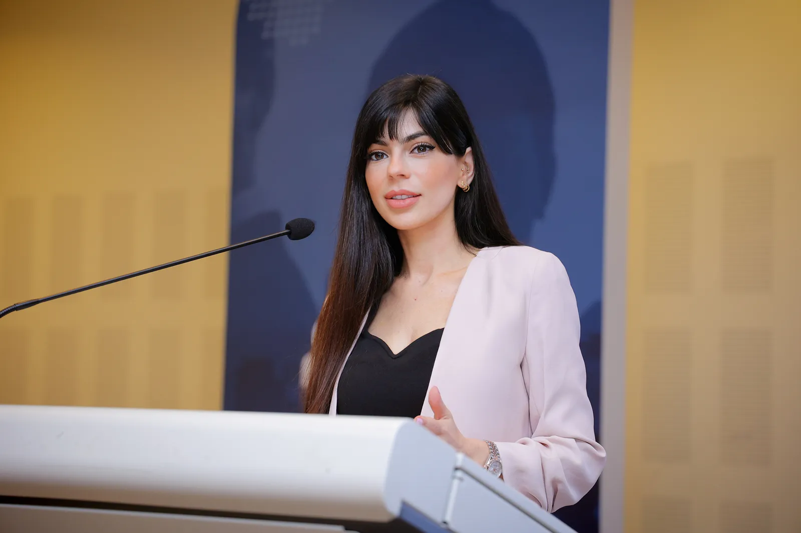 Rima Iskandarani hosting a public sector event in the UAE